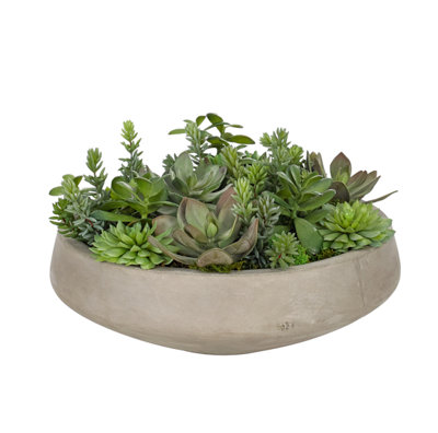 Succulent, Green Burg, Bowl Con Finish ,17wx17dx10h