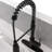 Keeney Professio Pull Down Kitchen Faucet-52227840