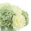 Hydrangea Arrangement in a Ceramic Pot-2085946963