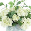 Keenum Hydrangea Floral Arrangement in Vase-1856787028