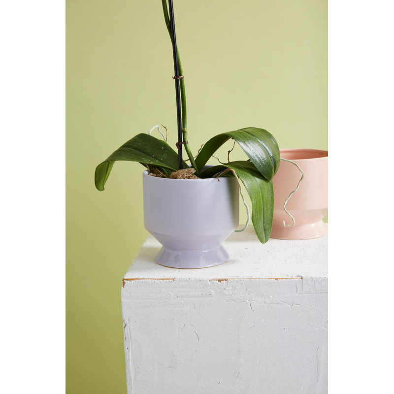 Lael Pot 6.25"x 6"