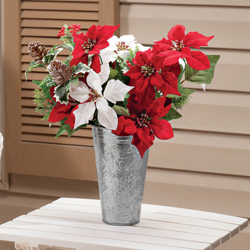 Ensemble de 2 poinsettias et pommes de pin OakRidge, 21 po
