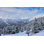 Tifany Winter Snow Trees - Photographie sur toile tendue