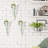 Poghos Glass Wall Vase
