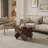 Lexghi Glass Top Single Coffee Table-1960827974-2057980736