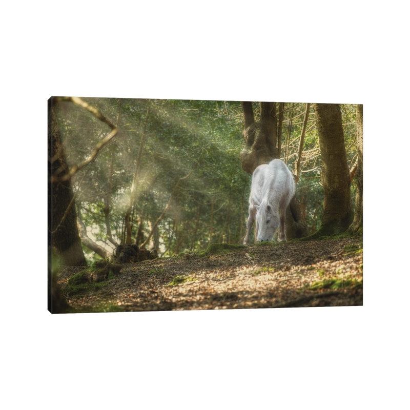 Mystical Pony by David Gardiner - Single Picture Frame Print on Canvas, 30.48cm H x 45.72cm W