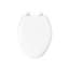 Lustra with Quick-Release Hinges Toilet Seat-286980276-342726762