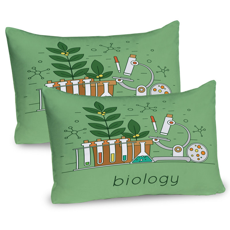 Ensemble de 2 taies décoratives Ambesonne Lab Biology, H 20 po x l 30 po