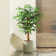 Adcock Faux Ficus Tree in Pot  with Realistic Leaves and Natural Trunk