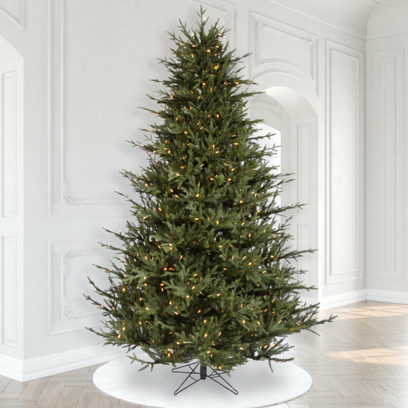 Itasca Frasier Christmas Tree with LED Warm White Lights with Stand, 9.5' H