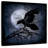 Kelan Moonlight Crow-109229423