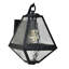 Glacier Brian Patrick Flynn Outdoor Wall Lantern