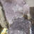 Leny Crystal