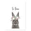 Le lapin est courage-48187575-48187579