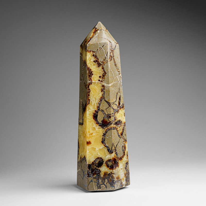 Véritable pointe septarienne polie de Madagascar (2,3 lb)