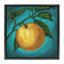 «Citrus Fruit on Branch», art mural sur toile flottante par Connie Resch-740078498-752148307
