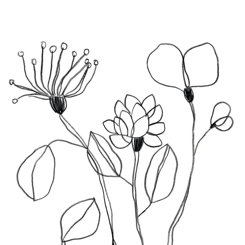 «Spindle Blossoms IV» par June Erica Vess - reproduction d'art sur toile tendue, H 12 po x l 12 po