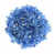 Bleu de cobalt est en rupture de stock