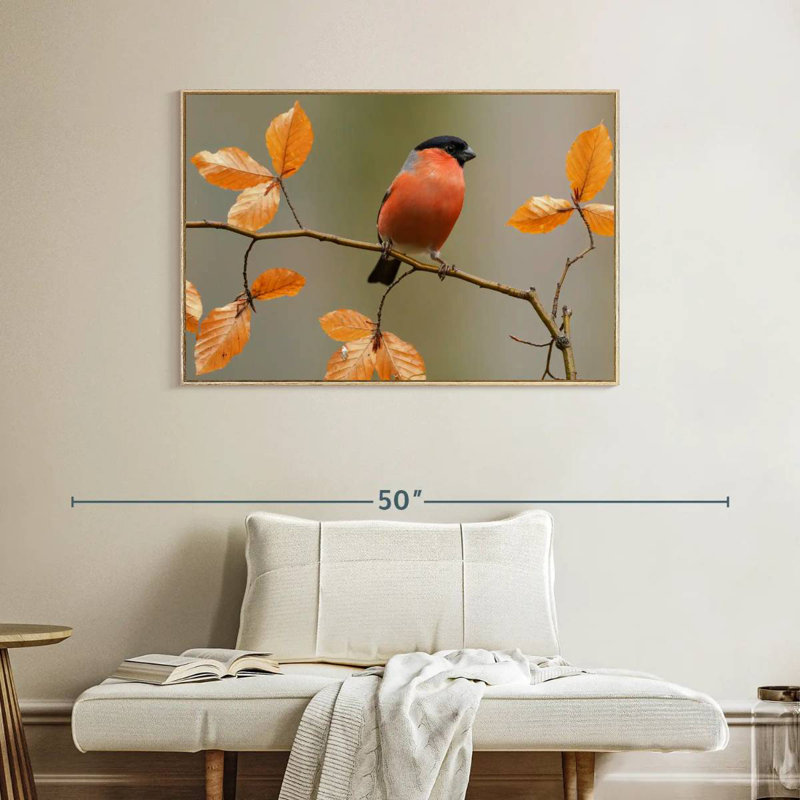Bouvreuil sur une brindille, Cadre flottant en bois naturel, 40 po x 27 po