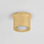 NOXON Flush Mount-1284722635