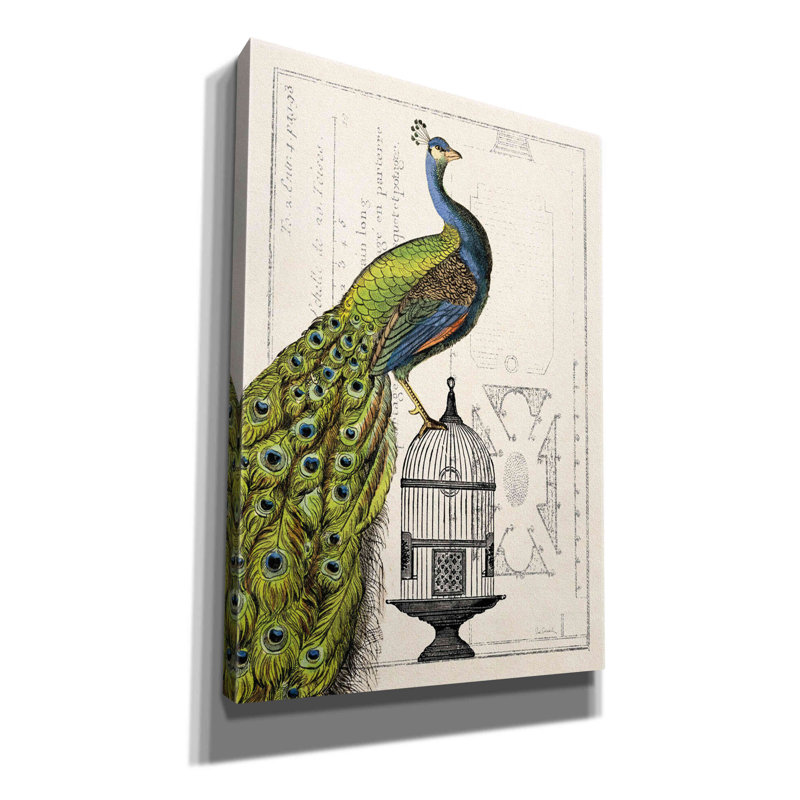 «Peacock Birdcage I» par Sue Schlabach, estampe numérique sur toile, L 18 po x H 26 po