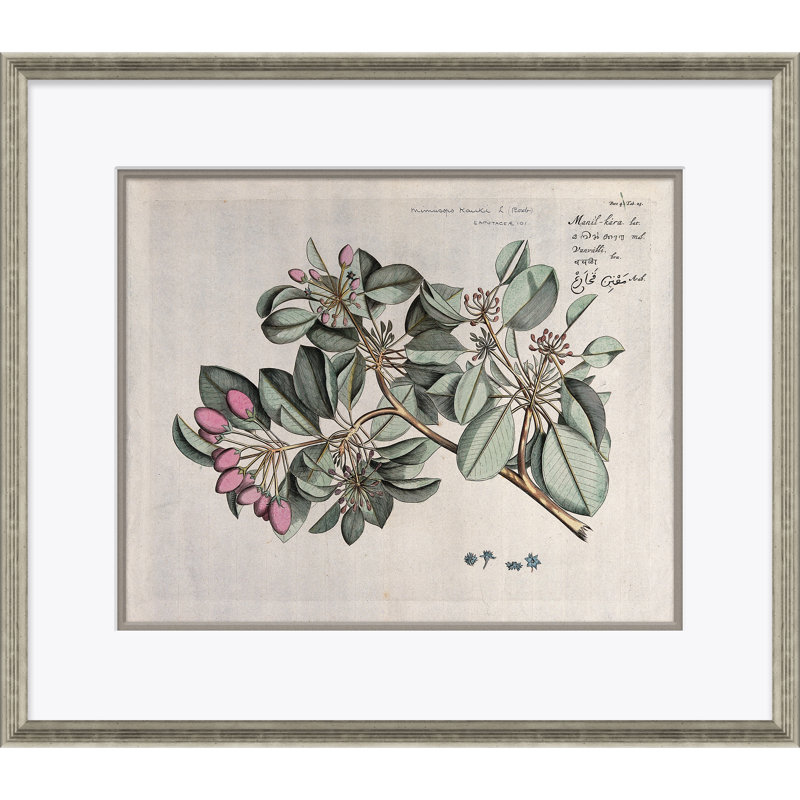Malaberica (Colored) Giclee Print by Paul Cezanne