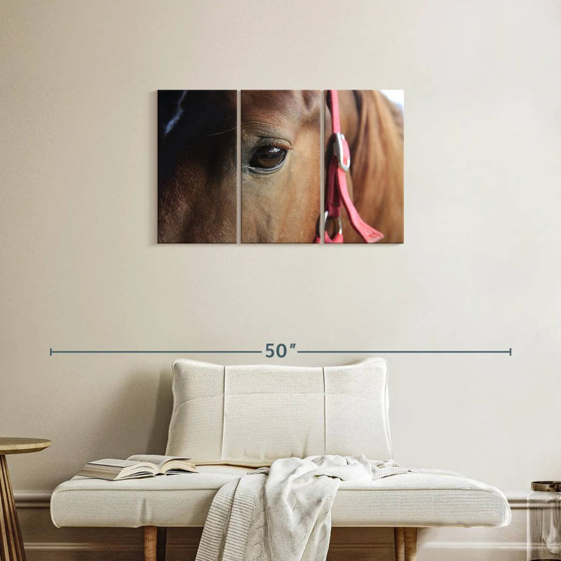 Brown Horse Eye, 20" H x 33" W