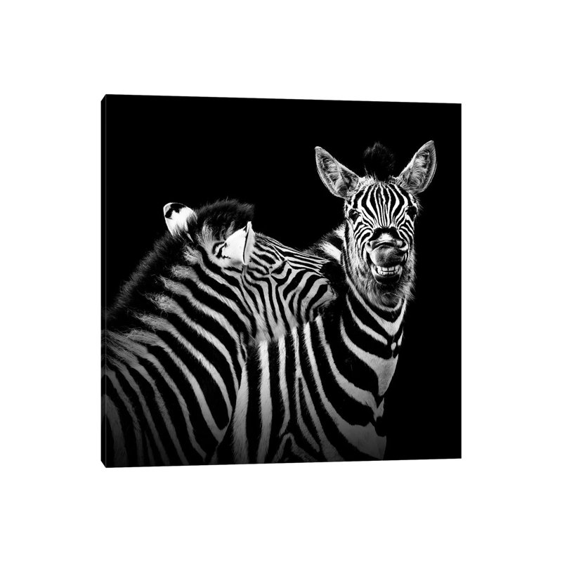 Two Zebras In Black And White II by Lukas Holas - Wrapped Canvas Print, 45.72 cm H x 45.72 cm W x 1.91 cm D