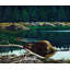 « plaine beaver », reproduction d’art sur toile tendue-17708417
