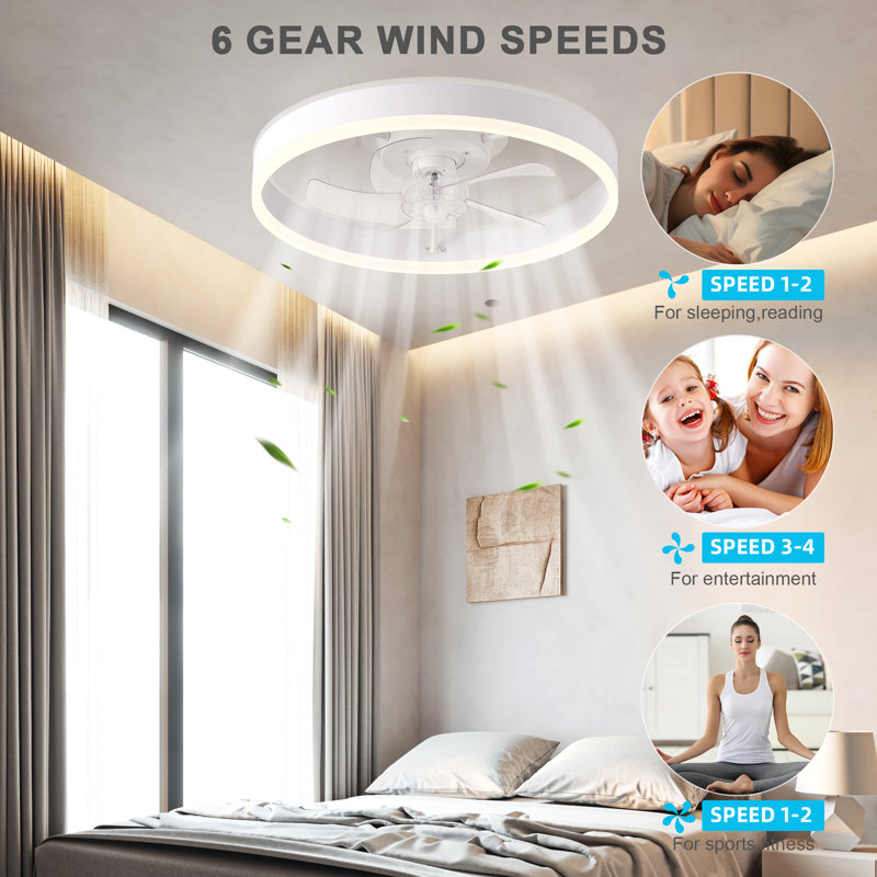 20" 6-Speed LED Dimmable Reversible Modern Caged Ceiling Fan With Light And Remote Control