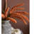 Millet Arrangement-977225317-977225322