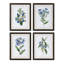 Summer Flower Framed Prints