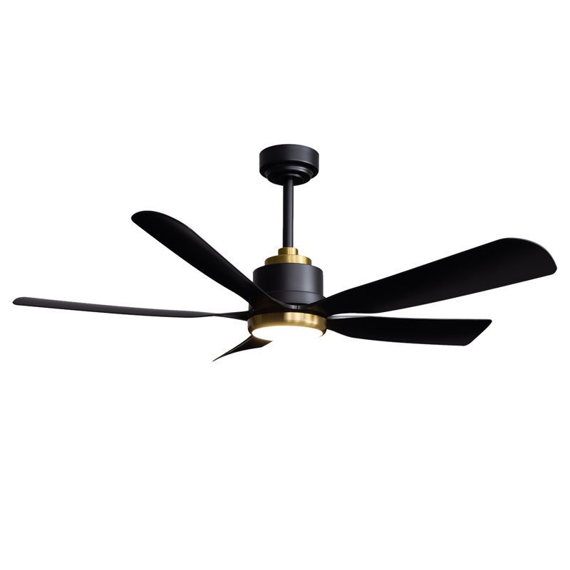 52" 5-Blades Ceiling Fan with Light Black/Gold