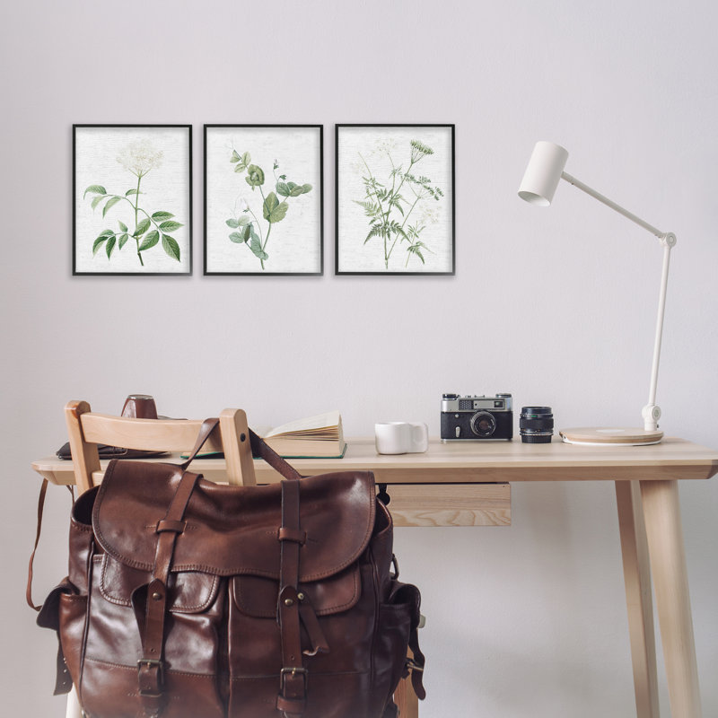  "Soft White Botanicals", ensemble de 3 giclées par lettres et lignes, H 14 po x l 11 po, Giclée encadrée noir minuit