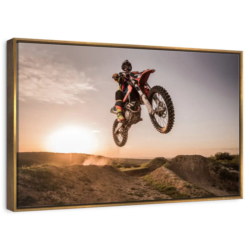 Vélo tout terrain Freestyle, Cadre flottant doré, 19 po x 13 po