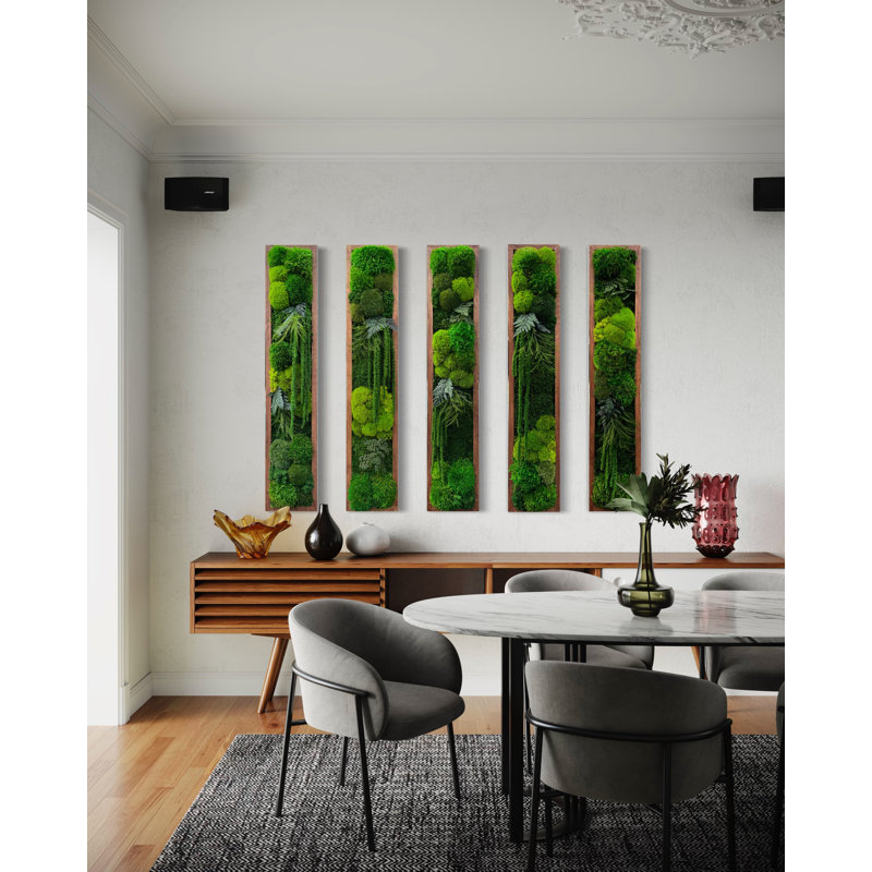 Symbiotikwalls Moss Wall Art. Moss Wall. Moss Art Panels. Green Wall Art. (3 Frame), 42" H x 8" W