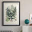 Collection Ferns VII - reproduction de cadre photo-1709782160-1709782161