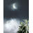 Peel & Stick Wall Mural-783537543