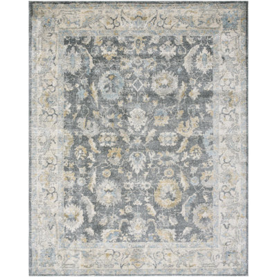 Amaurion Traditional Machine Woven Area Rug