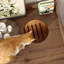 Élégante boîte à litière pour chat avec tiroir et escalier, armoire en bois pour la chambre à coucher et le salon, conception anti-odeurs et multifonctionnelle