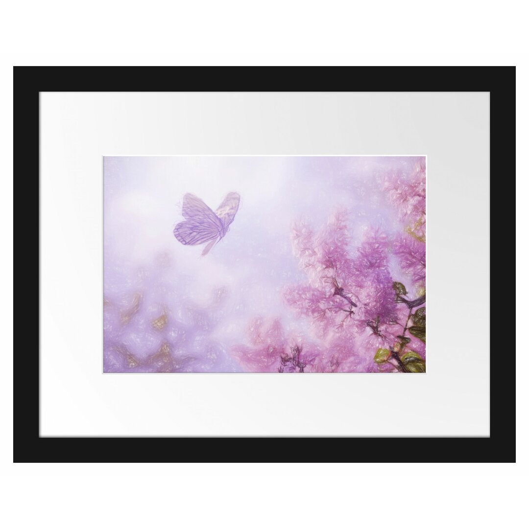 Gerahmtes Poster Schmetterling Kirschblüten