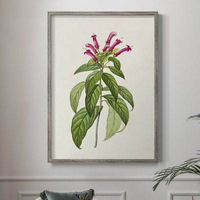 Pretty Pink Botanicals VIII Framed Print - Solid Wood