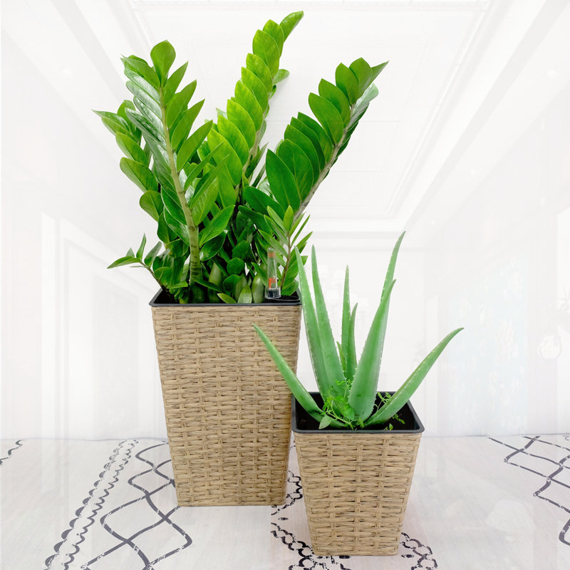 2-Pack Smart Self-watering Square Planter, Brown