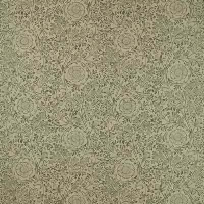 Chamomile