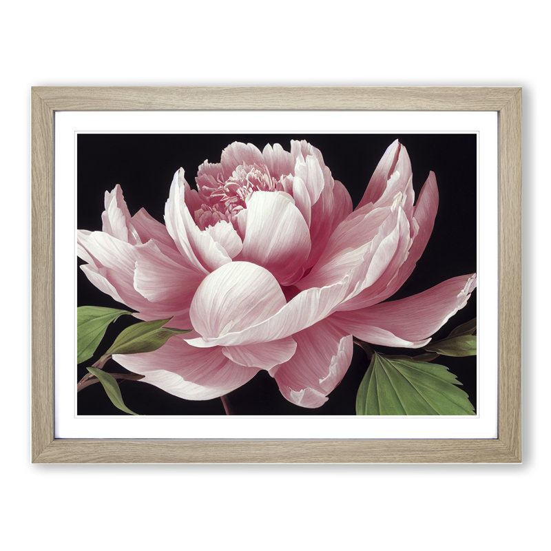 Delicious Peony Flower - Single Picture Frame Painting, 34cm H x 46cm W x 2cm D, Oak