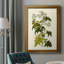 Toile encadrée de qualité supérieure Olive Greenery VI - prête à être accrochée-1407422566
