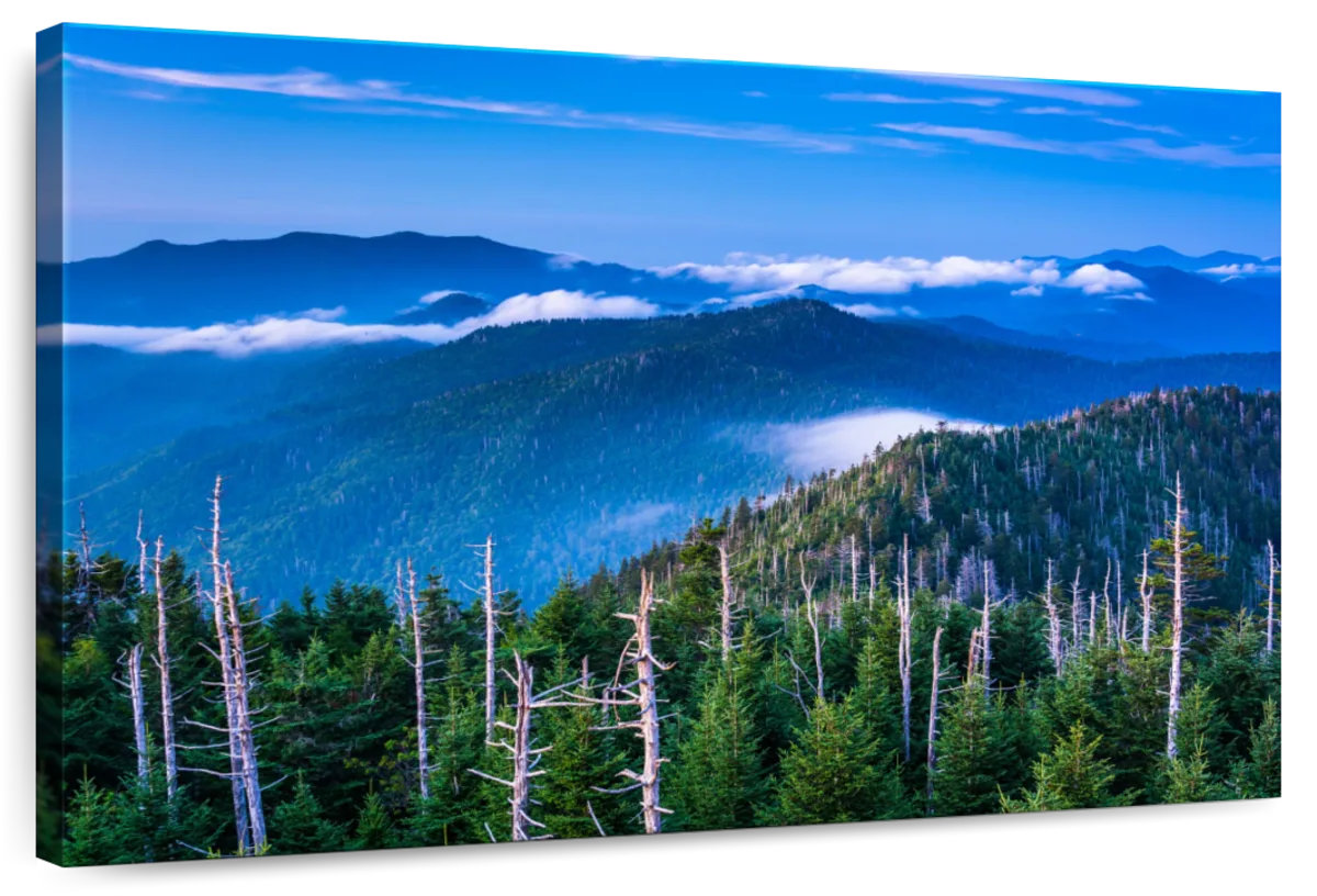 Millwood Pines Alvord Great Smoky Mountain Landscape | Wayfair