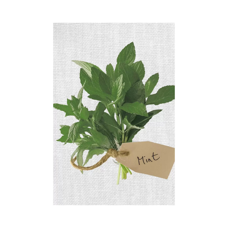 Mint by Assaf Frank - Wrapped Canvas Print, 20.32 cm H x 30.48 cm W x 1.91 cm D