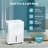 Antarctic Star  50 Pint Dehumidifier, 1.2 Gal Water Tank, 30%Rh Adjustable Auto Shut Off, 24H Timer