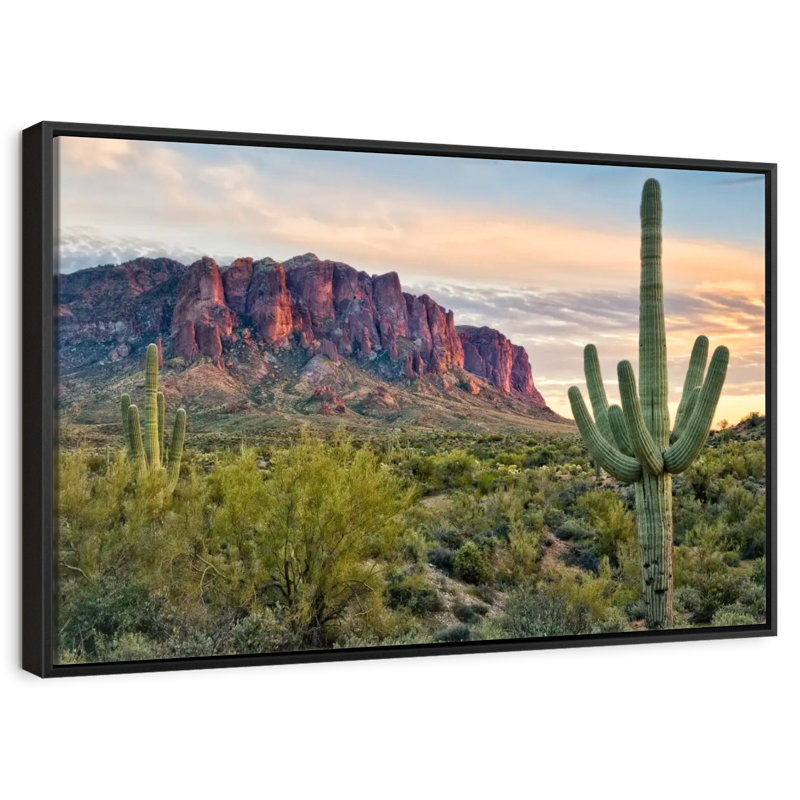 Vue de cactus Alvord II, H 27 po x l 40 po